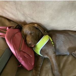 Meet your Posher, Miah